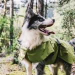 Dog Coats Small Waterproof,Warm Outfit Clothes Dog Jackets Small,Adjustable Drawstring Warm And Cozy Dog Sport Vest-（Green size M）